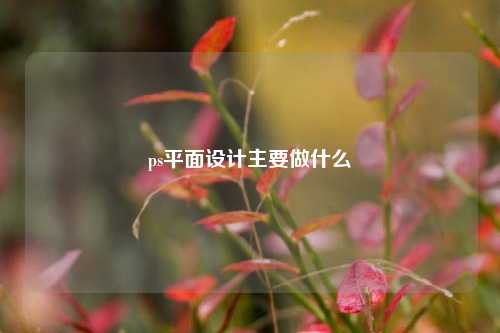 ps平面设计主要做什么