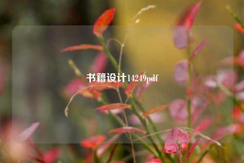 书籍设计14249pdf