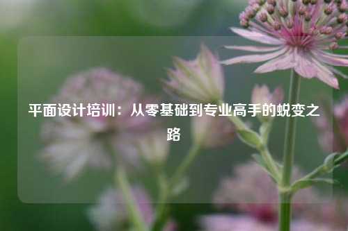 平面设计培训：从零基础到专业高手的蜕变之路