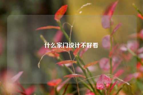 什么家门设计不好看