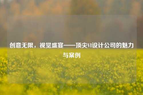创意无限，视觉盛宴——顶尖VI设计公司的魅力与案例