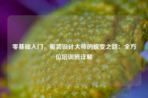 零基础入门，服装设计大师的蜕变之路：全方位培训班详解