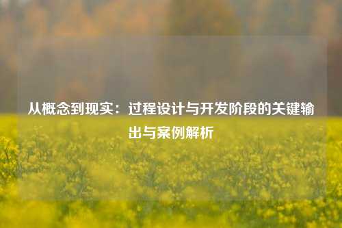 从概念到现实：过程设计与开发阶段的关键输出与案例解析