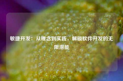 敏捷开发：从理念到实践，解锁软件开发的无限潜能