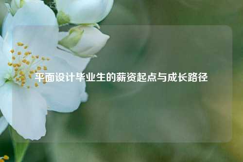 平面设计毕业生的薪资起点与成长路径