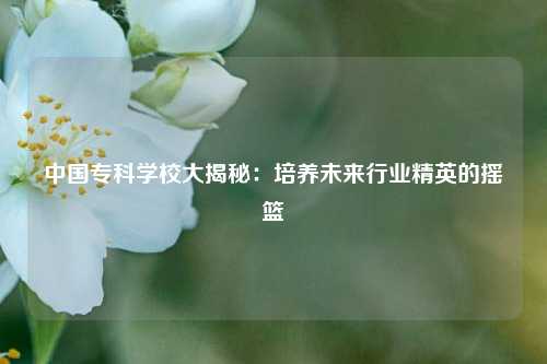 中国专科学校大揭秘:培养未来行业精英的摇篮