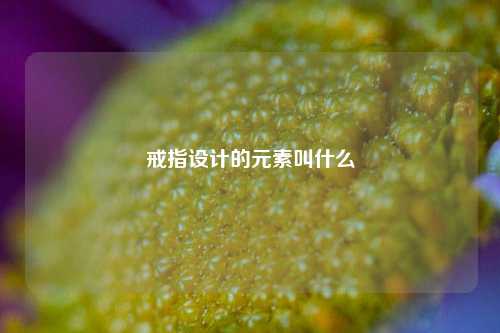 戒指设计的元素叫什么