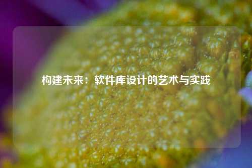 构建未来：软件库设计的艺术与实践