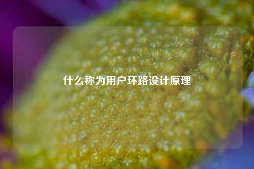 什么称为用户环路设计原理