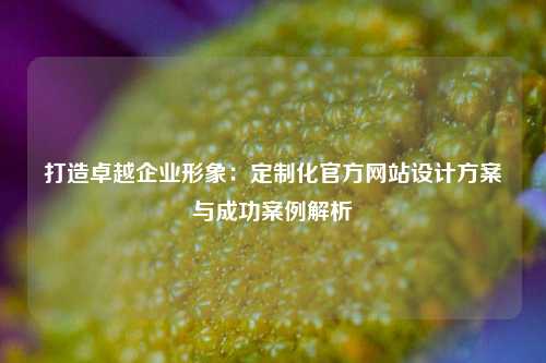 打造卓越企业形象:定制化官方网站设计方案与成功案例解析