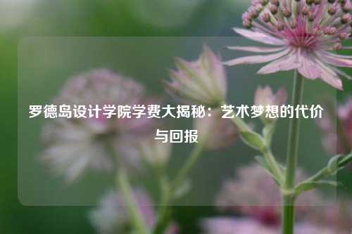 罗德岛设计学院学费大揭秘：艺术梦想的代价与回报