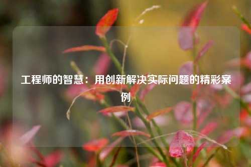 工程师的智慧：用创新解决实际问题的精彩案例
