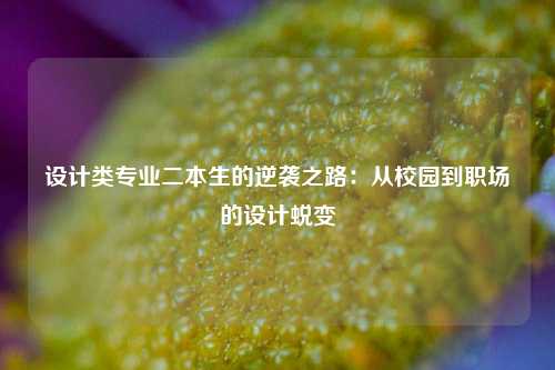 设计类专业二本生的逆袭之路：从校园到职场的设计蜕变