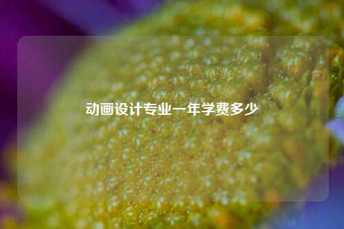 动画设计专业一年学费多少