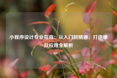 小程序设计专业指南：从入门到精通，打造爆款应用全解析