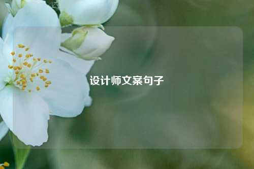 设计师文案句子