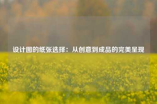 设计图的纸张选择：从创意到成品的完美呈现